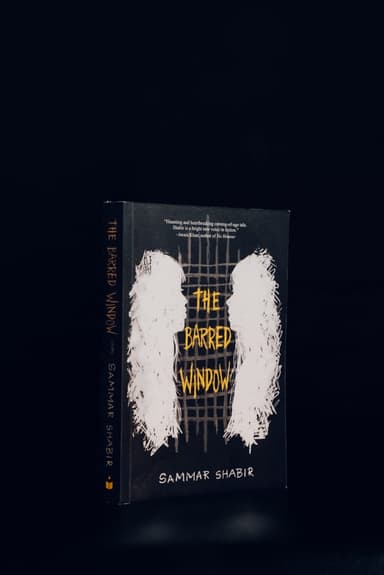 The Barred Window - my book